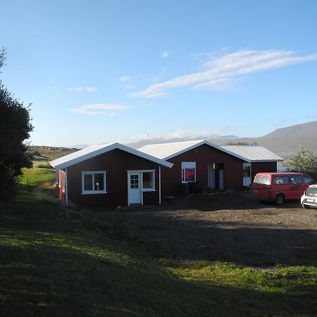 Icelandhorsetours - Helluland Saudarkrokur Dış mekan fotoğraf