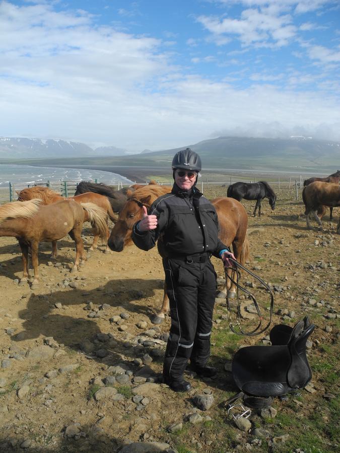 Icelandhorsetours - Helluland Saudarkrokur Dış mekan fotoğraf