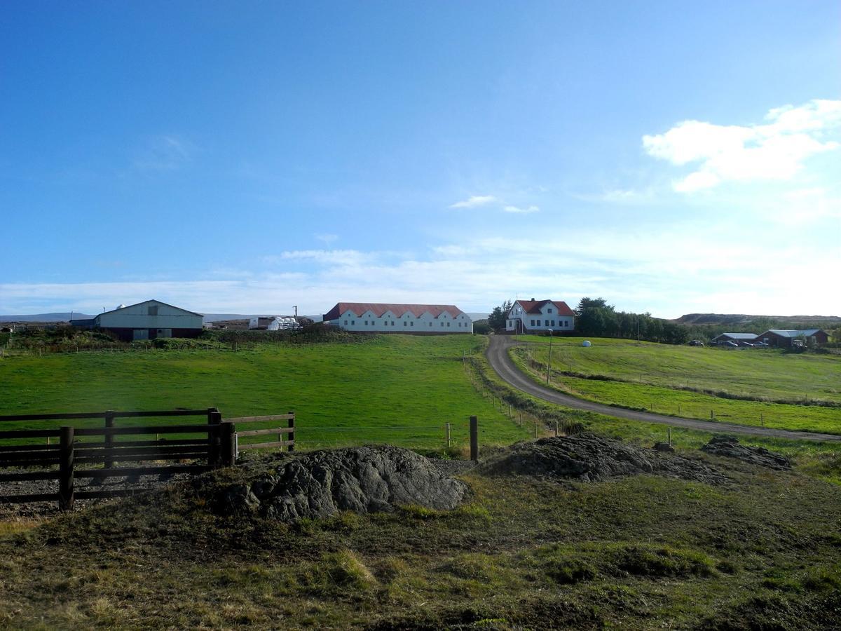 Icelandhorsetours - Helluland Saudarkrokur Dış mekan fotoğraf