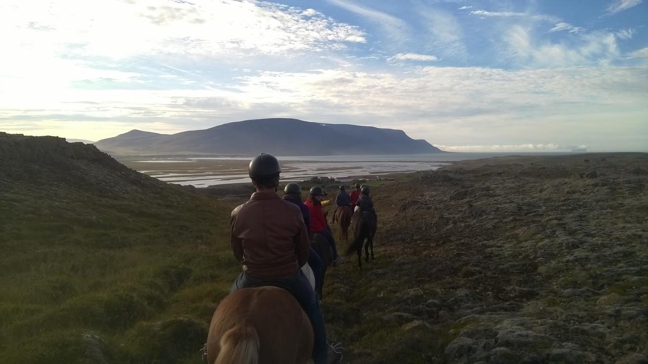 Icelandhorsetours - Helluland Saudarkrokur Dış mekan fotoğraf