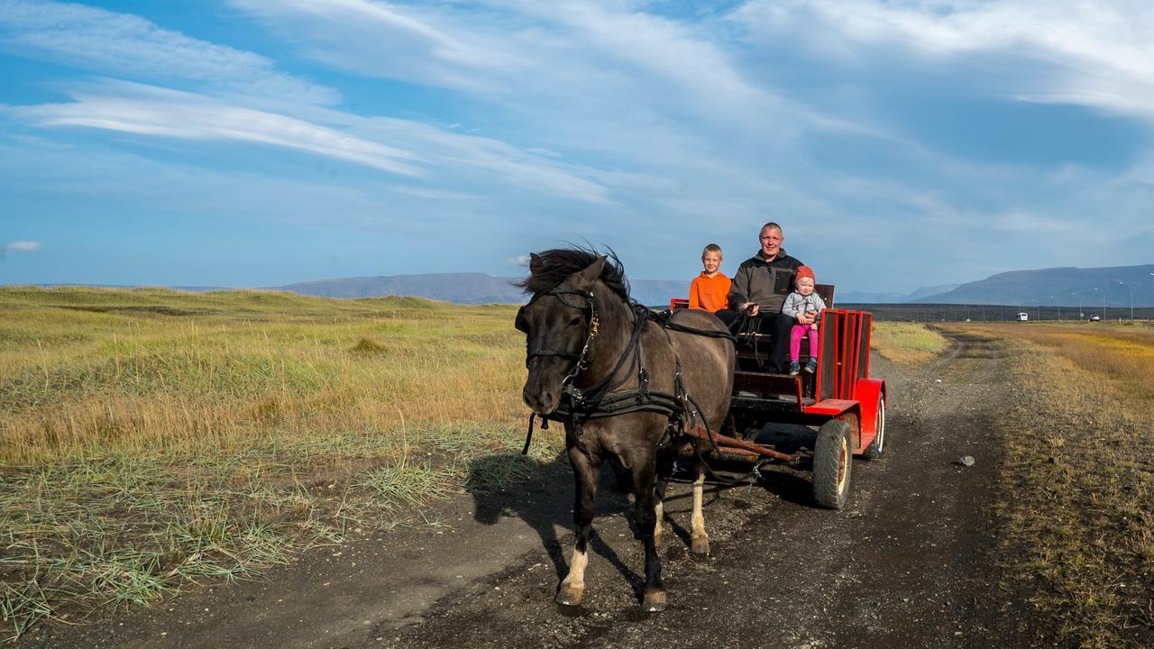 Icelandhorsetours - Helluland Saudarkrokur Dış mekan fotoğraf
