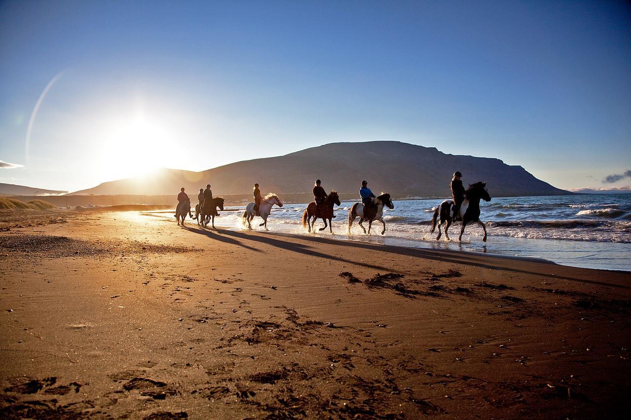 Icelandhorsetours - Helluland Saudarkrokur Dış mekan fotoğraf