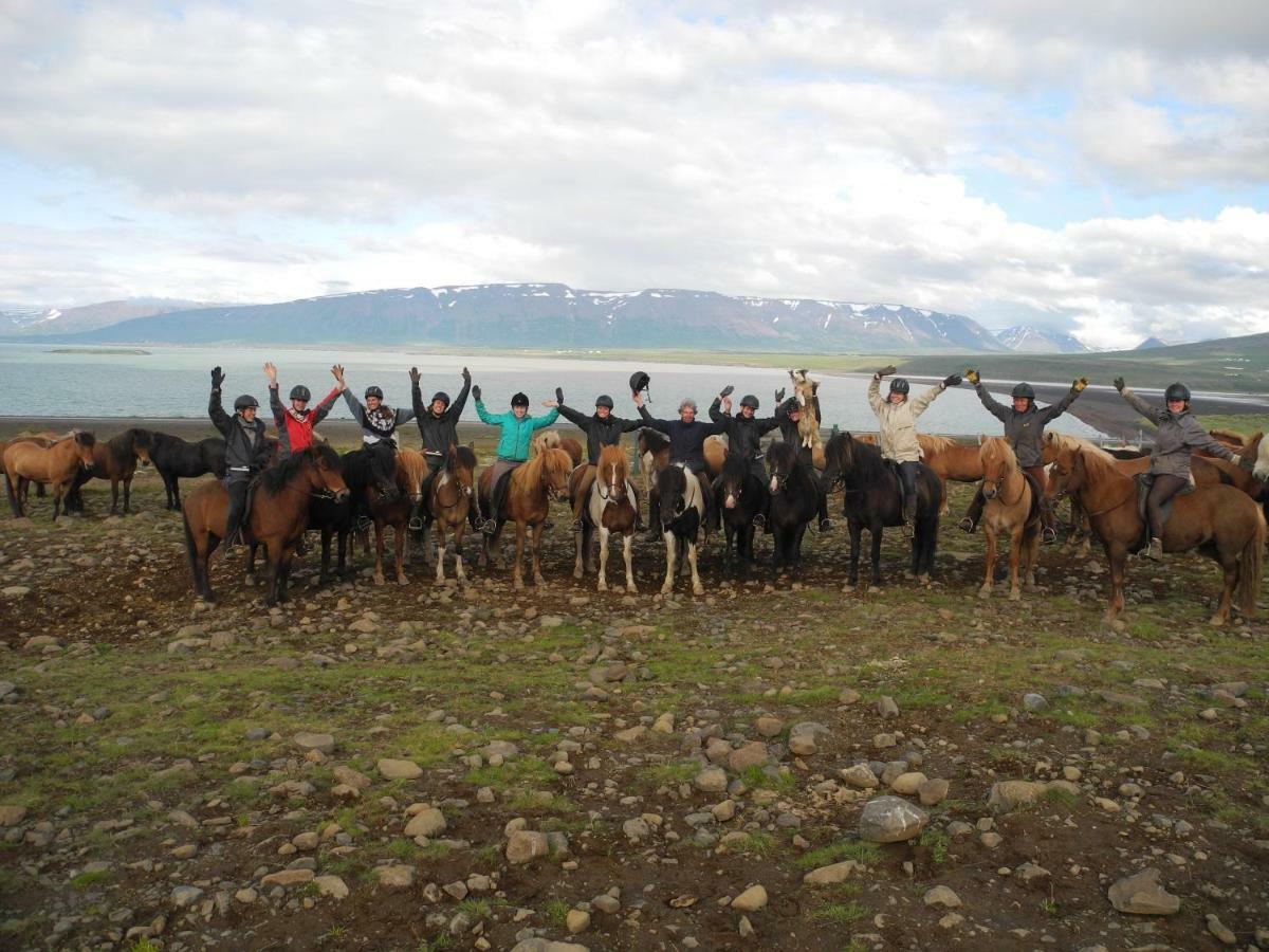 Icelandhorsetours - Helluland Saudarkrokur Dış mekan fotoğraf